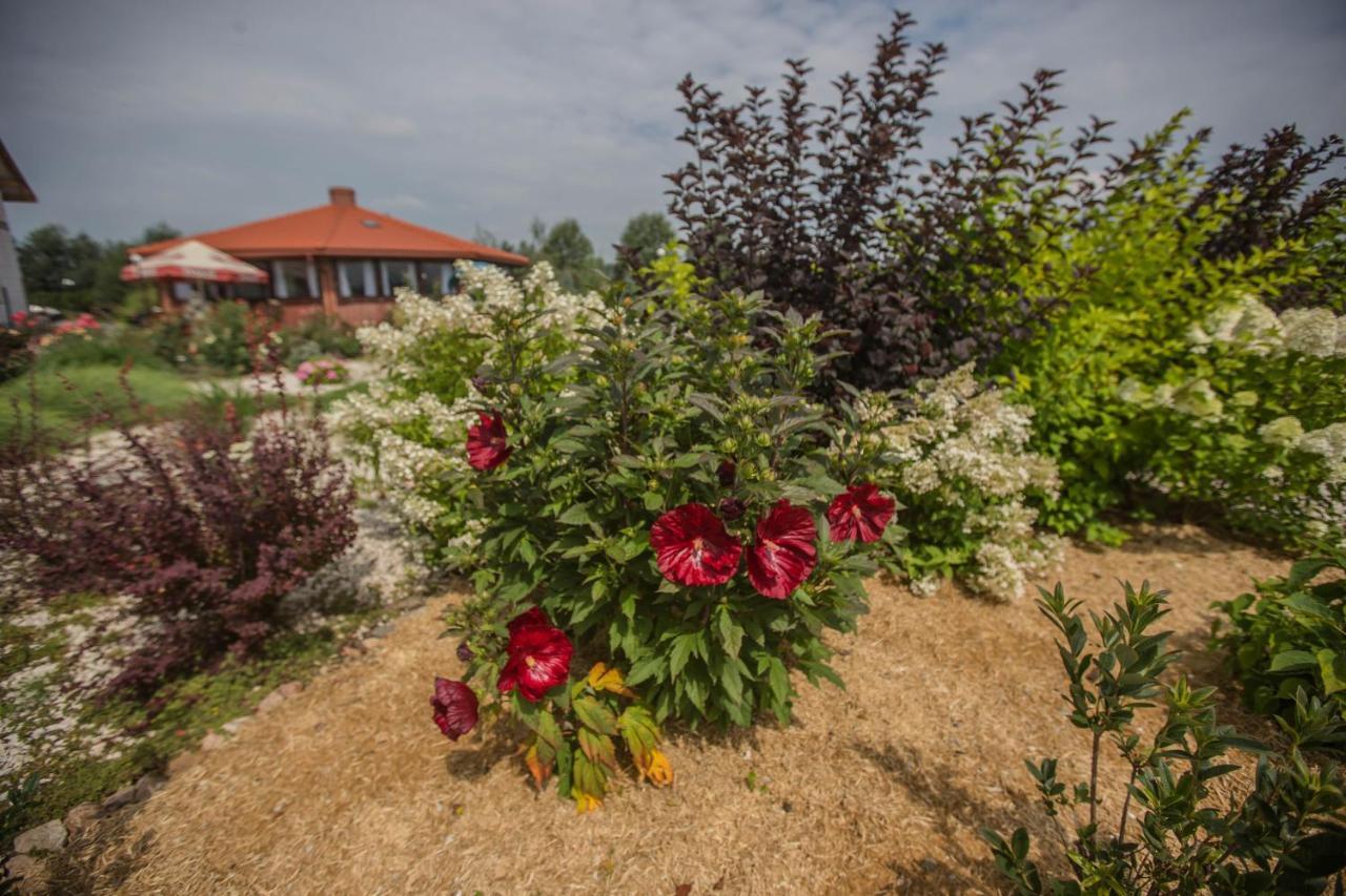 Rezydencja Pod Pieprzowkami Zalesie Gorzyckie Exterior foto